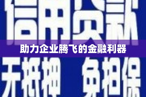 莲都助力企业腾飞的金融利器