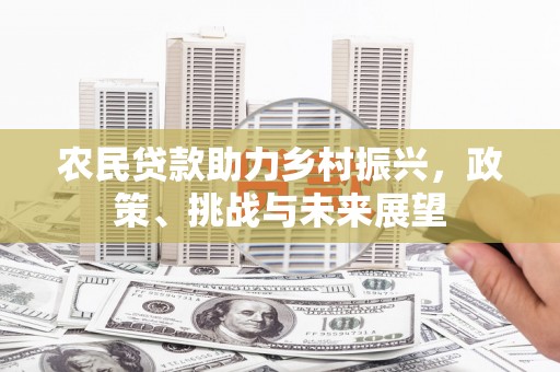 莲都农民贷款助力乡村振兴，政策、挑战与未来展望