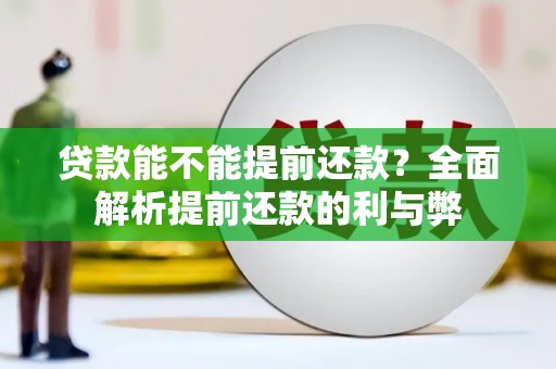 莲都贷款能不能提前还款？全面解析提前还款的利与弊