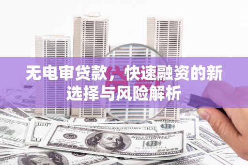 莲都无电审贷款，快速融资的新选择与风险解析