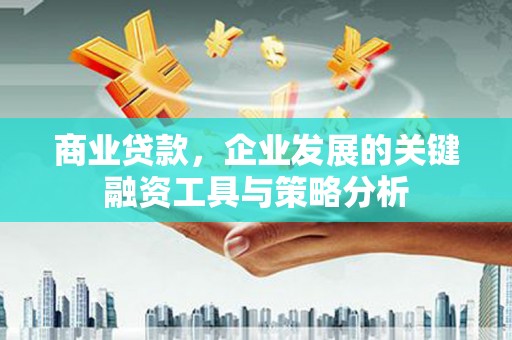 莲都商业贷款，企业发展的关键融资工具与策略分析