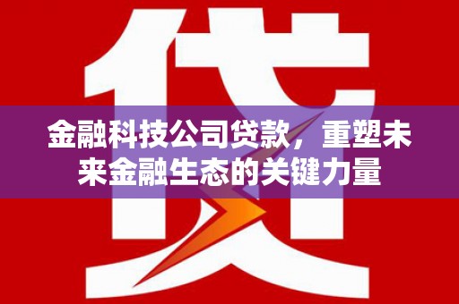 莲都金融科技公司贷款，重塑未来金融生态的关键力量