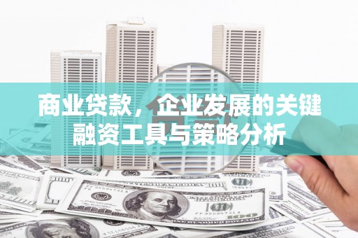 莲都商业贷款，企业发展的关键融资工具与策略分析