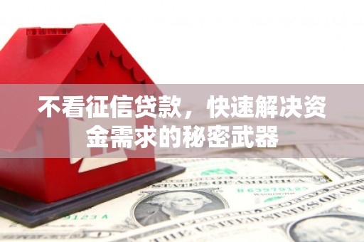 莲都不看征信贷款，快速解决资金需求的秘密武器