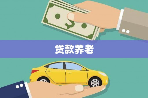 莲都贷款养老