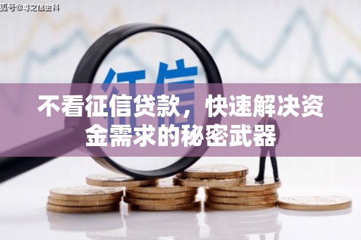 莲都不看征信贷款，快速解决资金需求的秘密武器