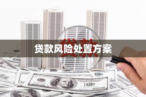 莲都贷款风险处置方案