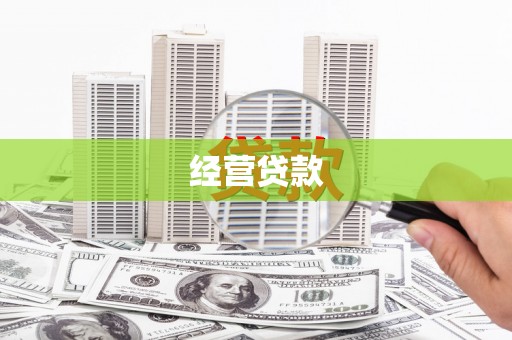 莲都经营贷款