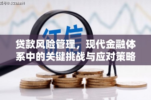 莲都贷款风险管理，现代金融体系中的关键挑战与应对策略