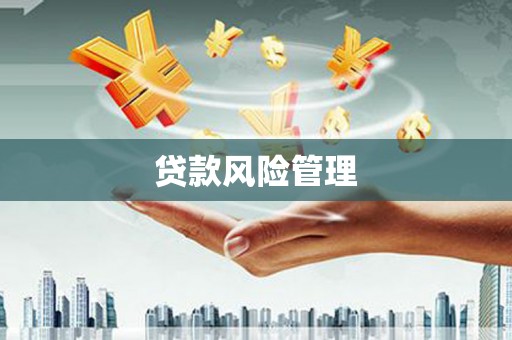 莲都贷款风险管理