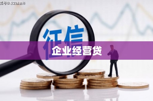 莲都企业经营贷