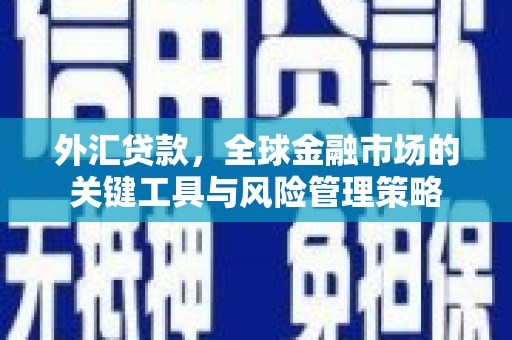 莲都外汇贷款，全球金融市场的关键工具与风险管理策略