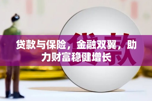 莲都贷款与保险，金融双翼，助力财富稳健增长