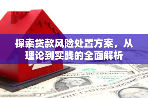 莲都探索贷款风险处置方案，从理论到实践的全面解析