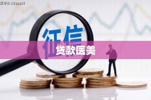 莲都贷款医美