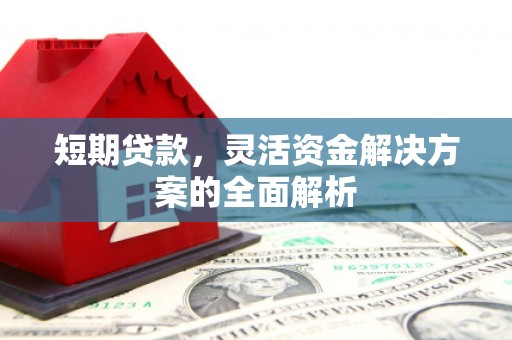 莲都短期贷款，灵活资金解决方案的全面解析