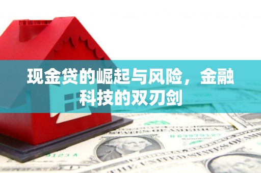 莲都现金贷的崛起与风险，金融科技的双刃剑