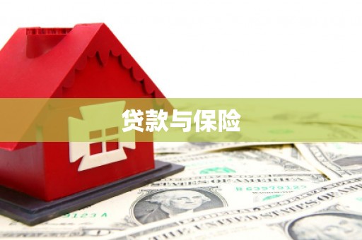 莲都贷款与保险