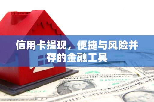 莲都信用卡提现，便捷与风险并存的金融工具