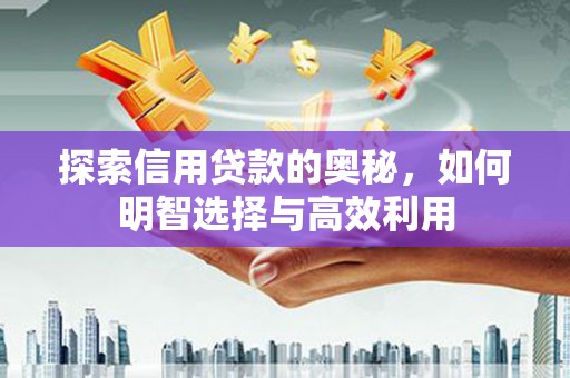 莲都探索信用贷款的奥秘，如何明智选择与高效利用