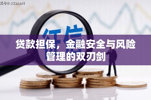 莲都贷款担保，金融安全与风险管理的双刃剑
