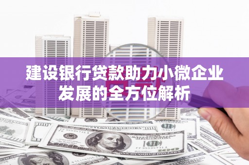莲都建设银行贷款助力小微企业发展的全方位解析