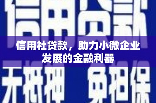 莲都信用社贷款，助力小微企业发展的金融利器