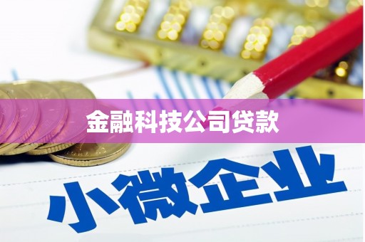 莲都金融科技公司贷款