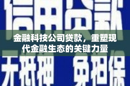 莲都金融科技公司贷款，重塑现代金融生态的关键力量