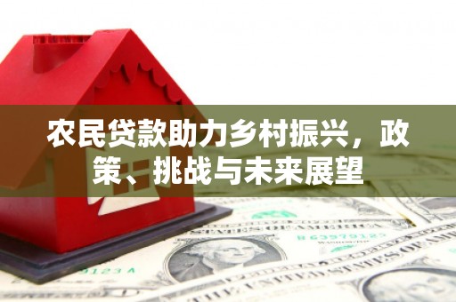莲都农民贷款助力乡村振兴，政策、挑战与未来展望