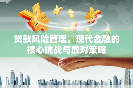 莲都贷款风险管理，现代金融的核心挑战与应对策略