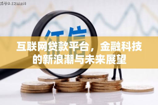 莲都互联网贷款平台，金融科技的新浪潮与未来展望