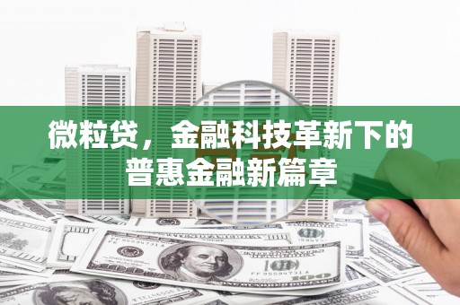 莲都微粒贷，金融科技革新下的普惠金融新篇章
