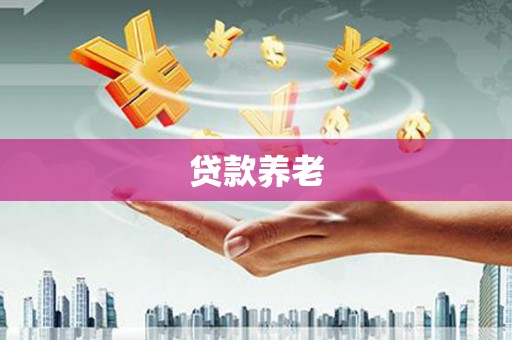 莲都贷款养老