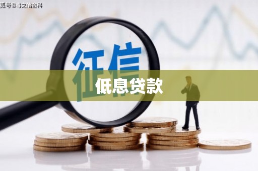 莲都低息贷款