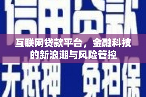 莲都互联网贷款平台，金融科技的新浪潮与风险管控