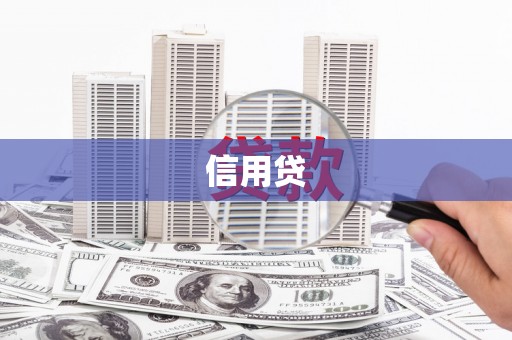 莲都信用贷