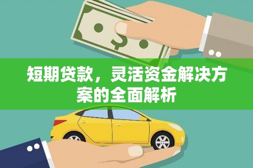 莲都短期贷款，灵活资金解决方案的全面解析