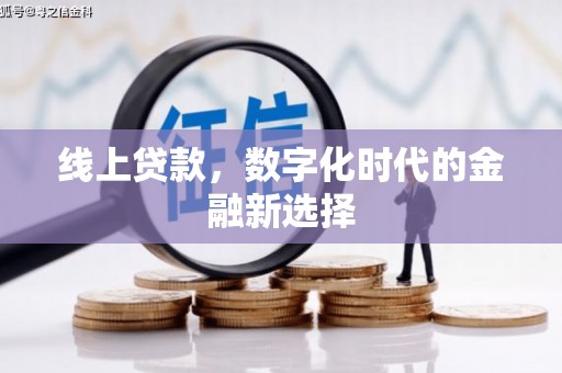 莲都线上贷款，数字化时代的金融新选择