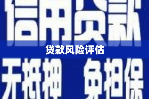 莲都贷款风险评估