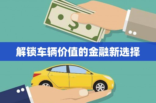 莲都解锁车辆价值的金融新选择