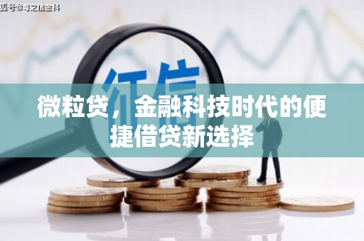 莲都微粒贷，金融科技时代的便捷借贷新选择