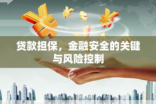 莲都贷款担保，金融安全的关键与风险控制