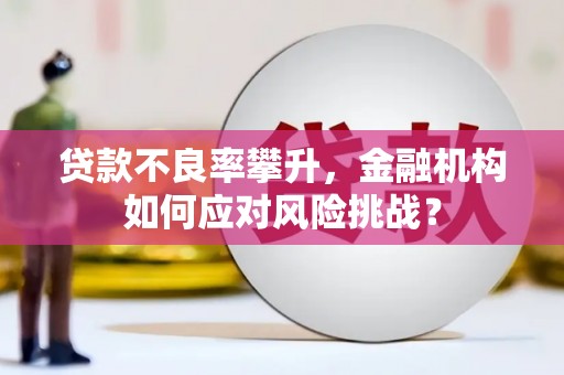 莲都贷款不良率攀升，金融机构如何应对风险挑战？