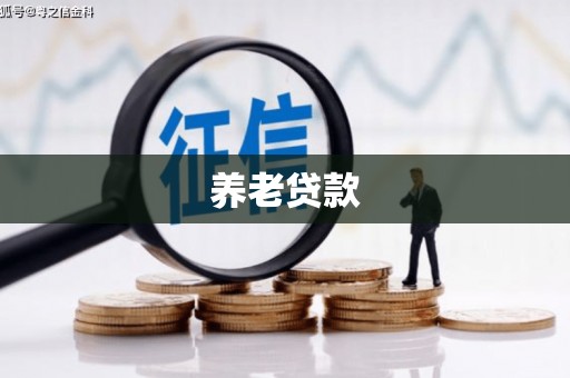 莲都养老贷款