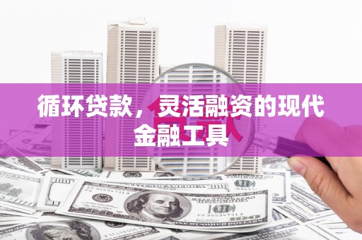 莲都循环贷款，灵活融资的现代金融工具