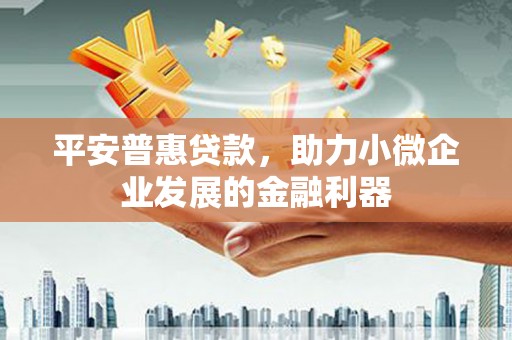 莲都平安普惠贷款，助力小微企业发展的金融利器