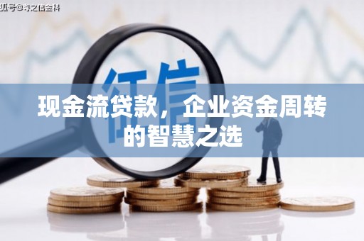 莲都现金流贷款，企业资金周转的智慧之选