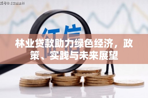 莲都林业贷款助力绿色经济，政策、实践与未来展望