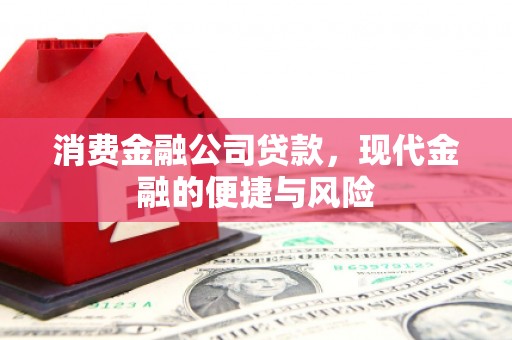 莲都消费金融公司贷款，现代金融的便捷与风险